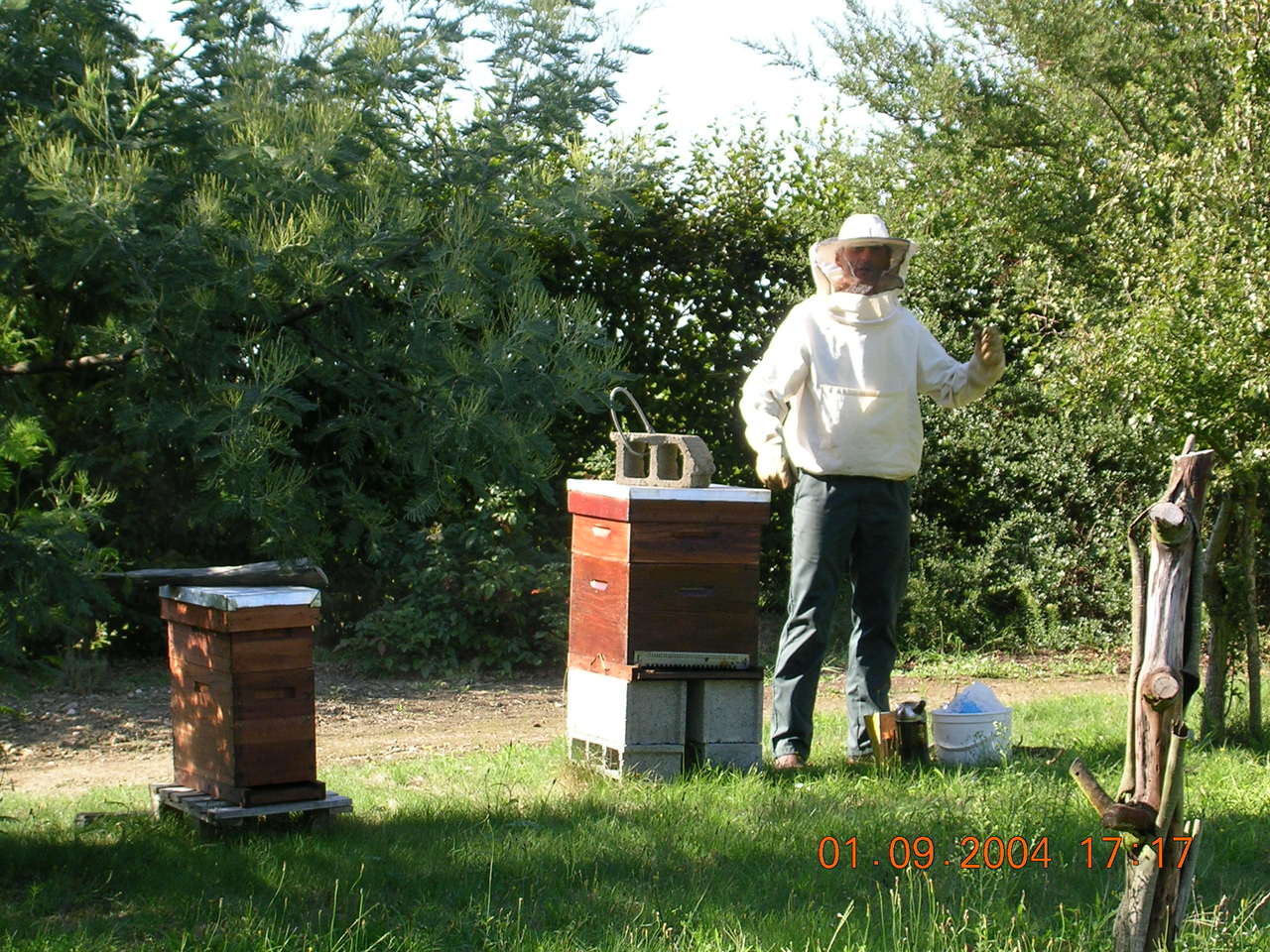 Un apiculteur